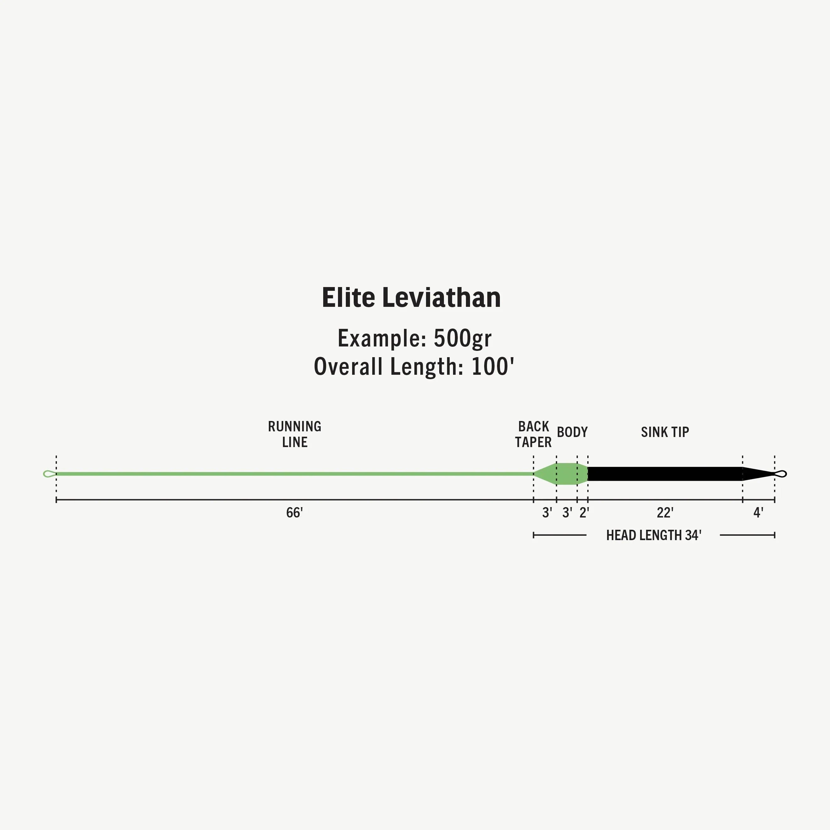 RIO Elite Leviathan Fly Line