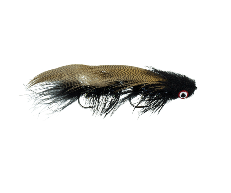 MFC Galloup's Boogieman in Black