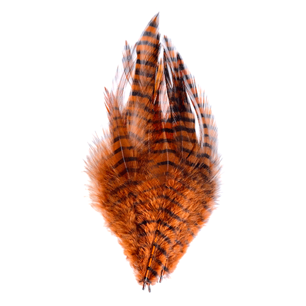 Barred Saddle Hackle