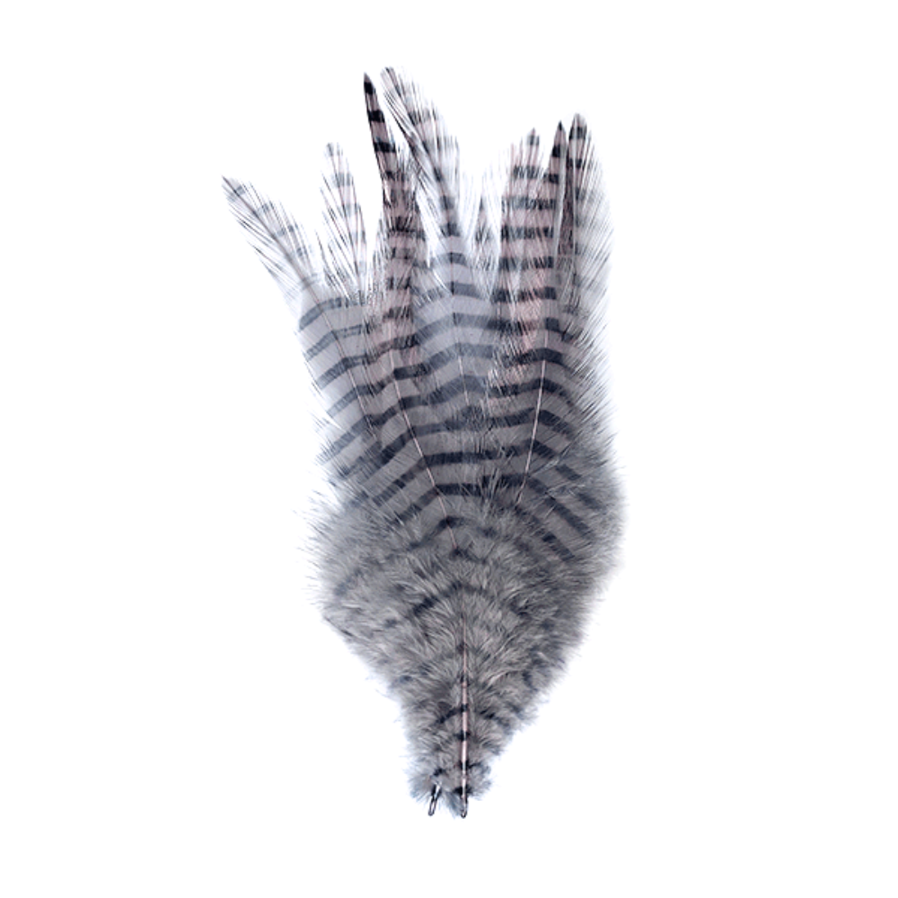 Barred Saddle Hackle