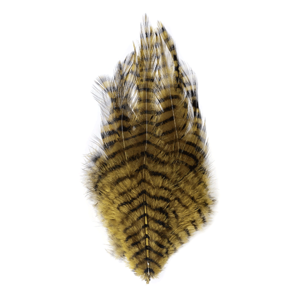 Barred Saddle Hackle