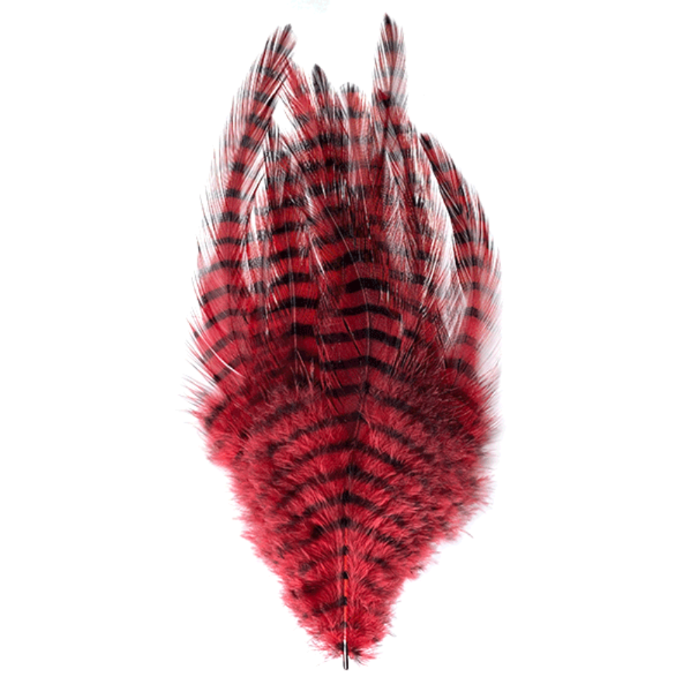 Barred Saddle Hackle