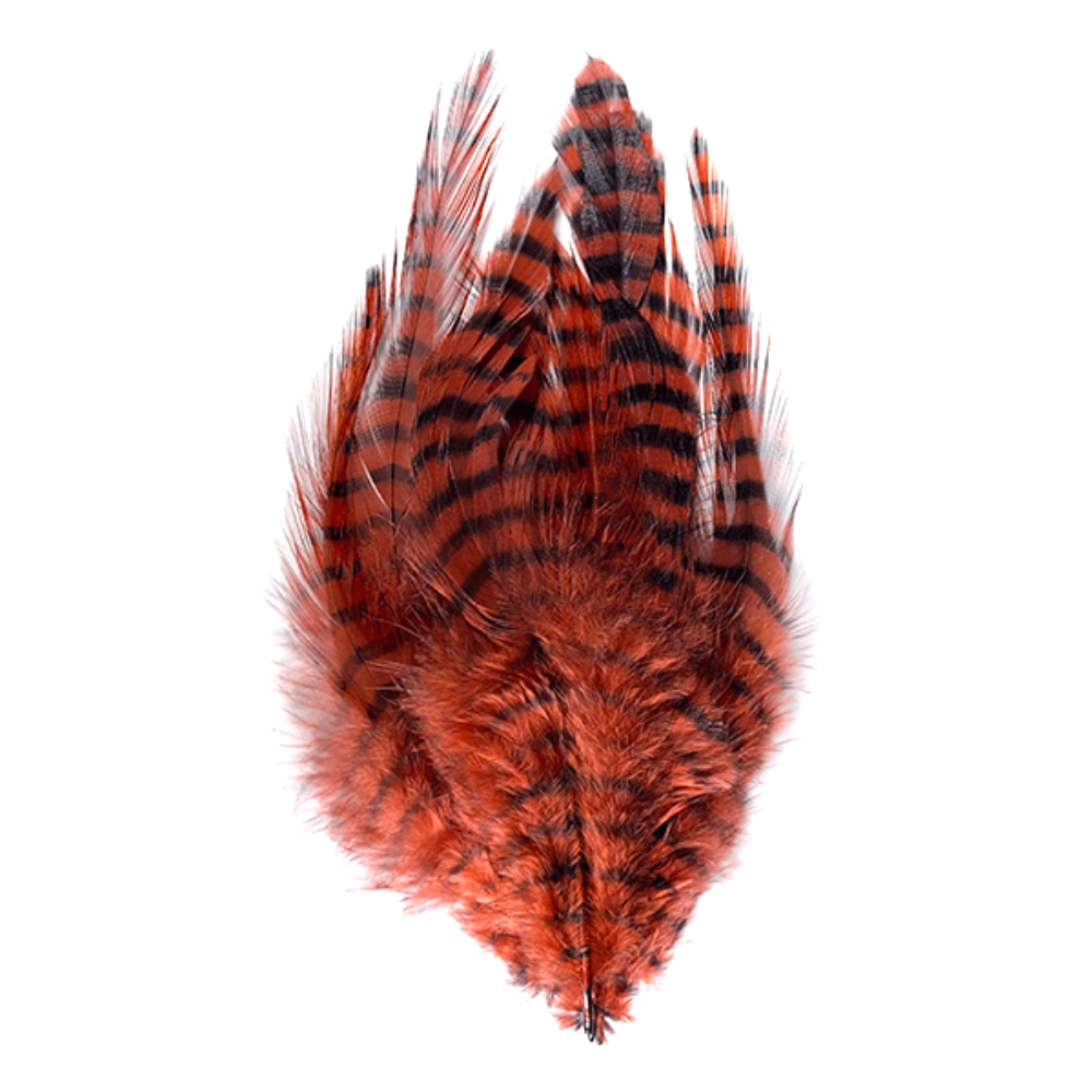 Barred Saddle Hackle