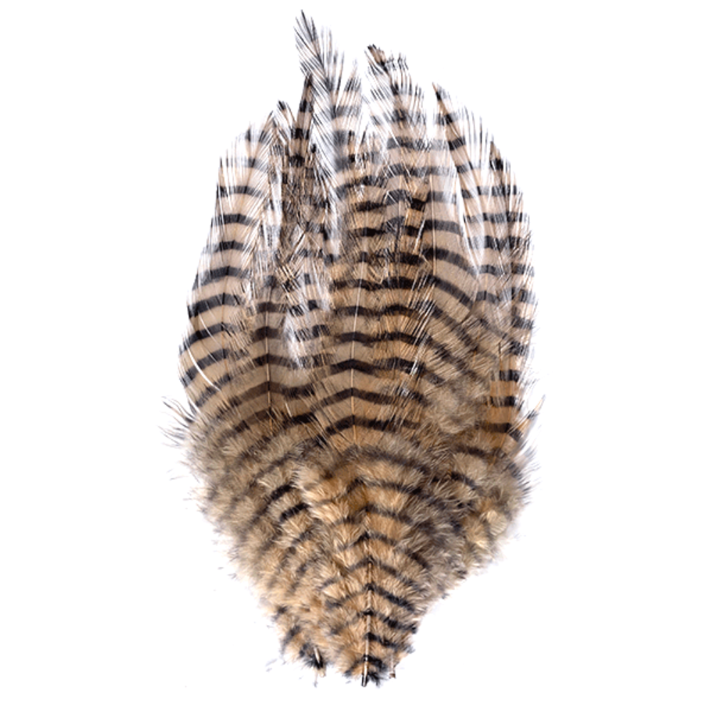 Barred Saddle Hackle