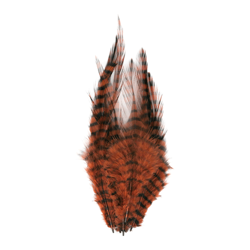 Barred Saddle Hackle
