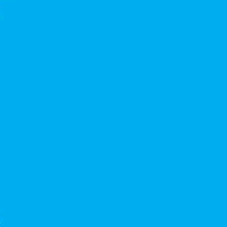 Flies Tier 2 - Blue