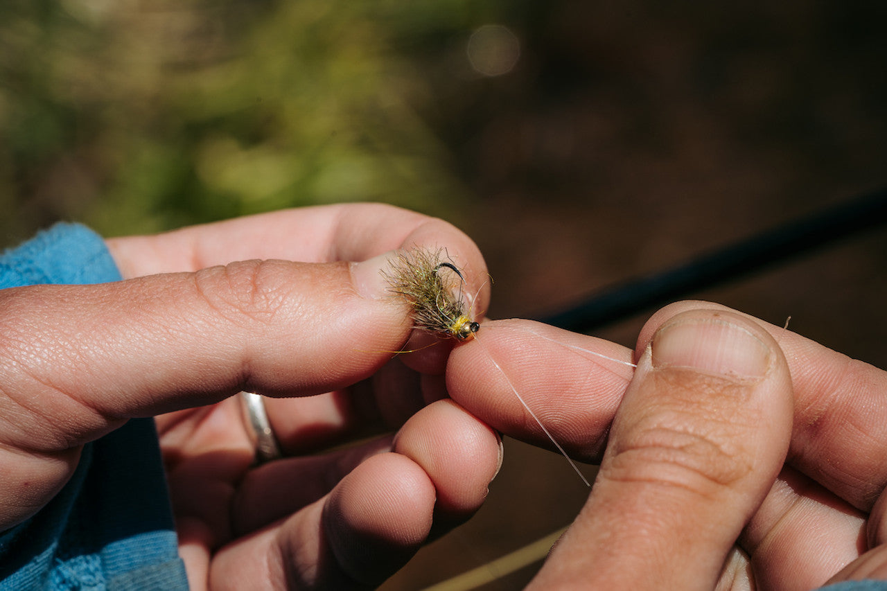 Umpqua XC450BL-BN Nymph Hooks