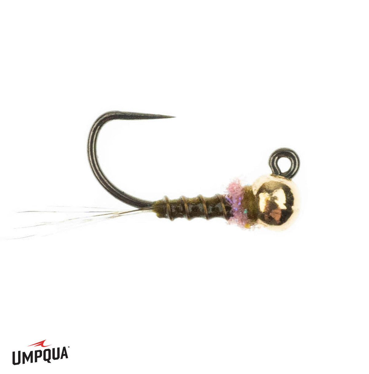 Thread Frenchie Jig- Egan's